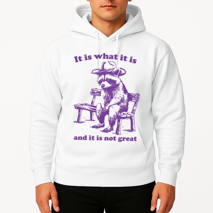 Slippywild It Is What It Is And It Is Not Great Hoodie