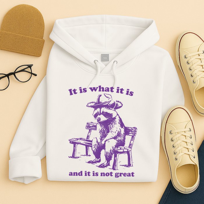 Slippywild It Is What It Is And It Is Not Great Hoodie