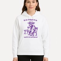 Slippywild It Is What It Is And It Is Not Great Hoodie