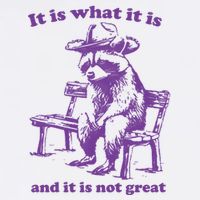 Slippywild It Is What It Is And It Is Not Great T-Shirt