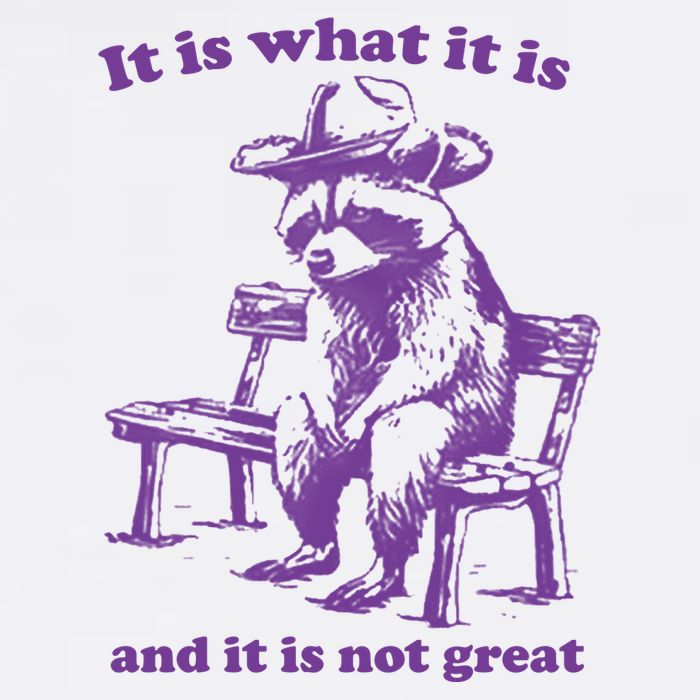 Slippywild It Is What It Is And It Is Not Great T-Shirt