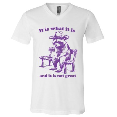 Slippywild It Is What It Is And It Is Not Great V-Neck T-Shirt