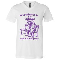 Slippywild It Is What It Is And It Is Not Great V-Neck T-Shirt