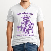 Slippywild It Is What It Is And It Is Not Great V-Neck T-Shirt