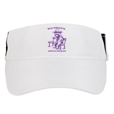 Slippywild It Is What It Is And It Is Not Great Adult Drive Performance Visor