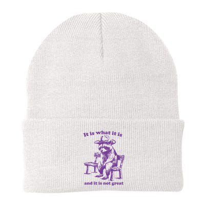 Slippywild It Is What It Is And It Is Not Great Knit Cap Winter Beanie