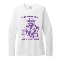 Slippywild It Is What It Is And It Is Not Great Womens CVC Long Sleeve Shirt