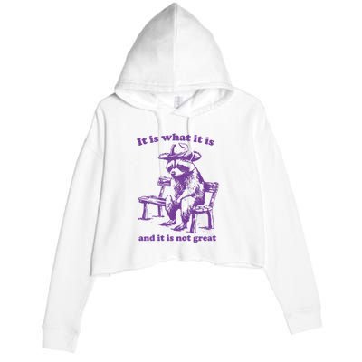 Slippywild It Is What It Is And It Is Not Great Crop Fleece Hoodie