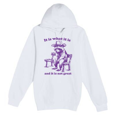 Slippywild It Is What It Is And It Is Not Great Premium Pullover Hoodie