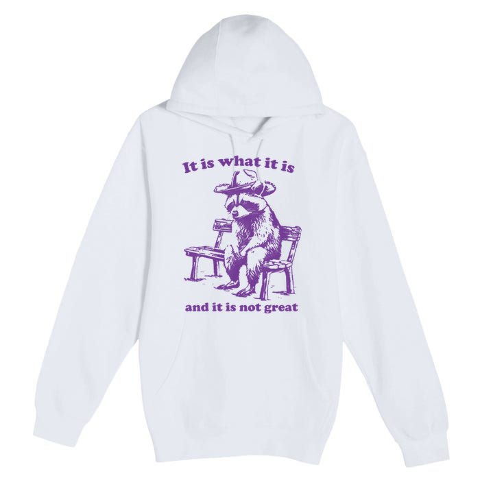 Slippywild It Is What It Is And It Is Not Great Premium Pullover Hoodie