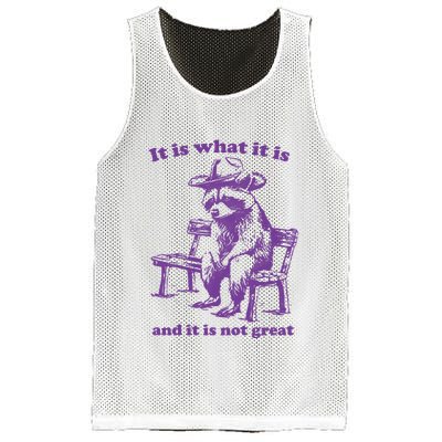 Slippywild It Is What It Is And It Is Not Great Mesh Reversible Basketball Jersey Tank