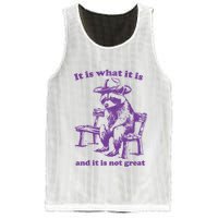 Slippywild It Is What It Is And It Is Not Great Mesh Reversible Basketball Jersey Tank