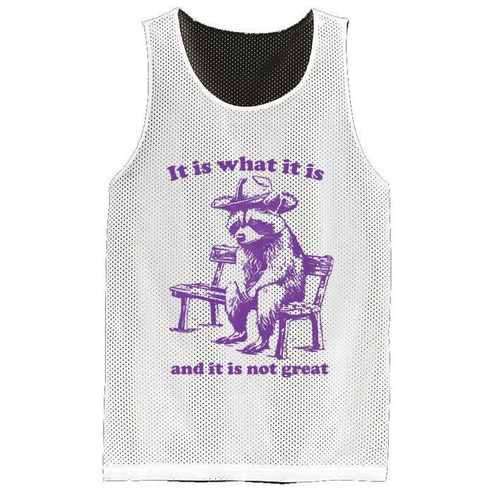 Slippywild It Is What It Is And It Is Not Great Mesh Reversible Basketball Jersey Tank