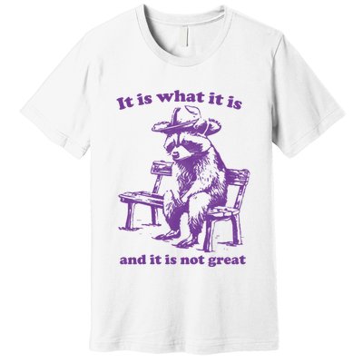 Slippywild It Is What It Is And It Is Not Great Premium T-Shirt