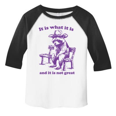 Slippywild It Is What It Is And It Is Not Great Toddler Fine Jersey T-Shirt