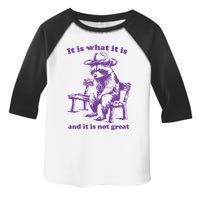 Slippywild It Is What It Is And It Is Not Great Toddler Fine Jersey T-Shirt
