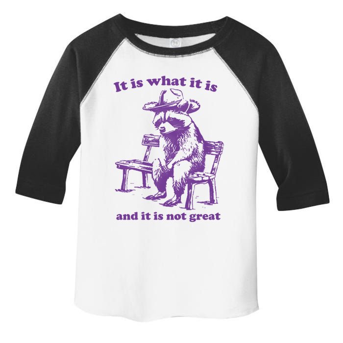 Slippywild It Is What It Is And It Is Not Great Toddler Fine Jersey T-Shirt