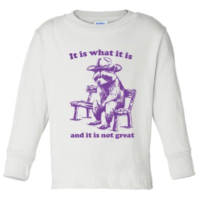 Slippywild It Is What It Is And It Is Not Great Toddler Long Sleeve Shirt