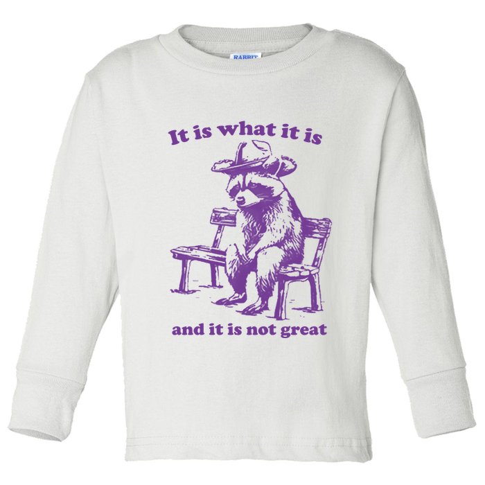 Slippywild It Is What It Is And It Is Not Great Toddler Long Sleeve Shirt