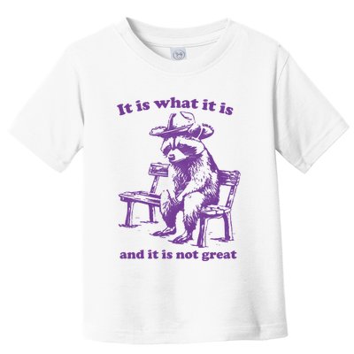 Slippywild It Is What It Is And It Is Not Great Toddler T-Shirt