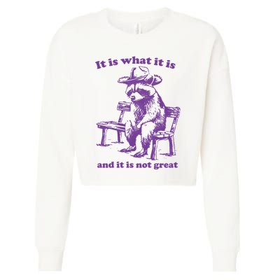 Slippywild It Is What It Is And It Is Not Great Cropped Pullover Crew