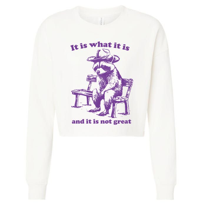 Slippywild It Is What It Is And It Is Not Great Cropped Pullover Crew