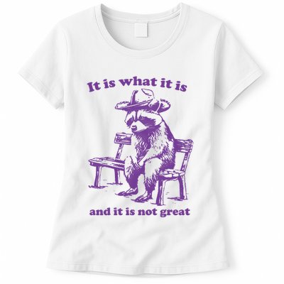 Slippywild It Is What It Is And It Is Not Great Womens T-Shirt
