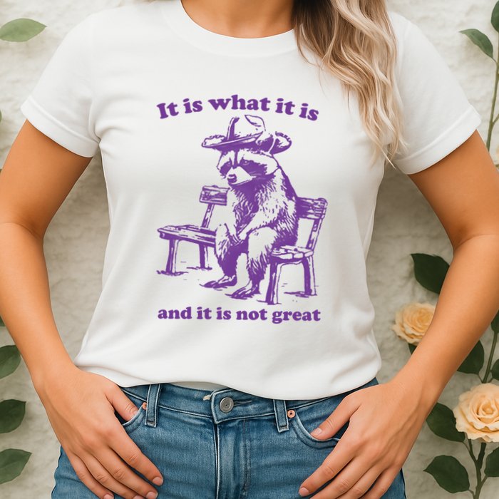 Slippywild It Is What It Is And It Is Not Great Womens T-Shirt