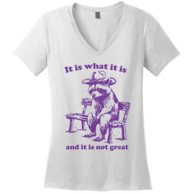 Slippywild It Is What It Is And It Is Not Great Women's V-Neck T-Shirt