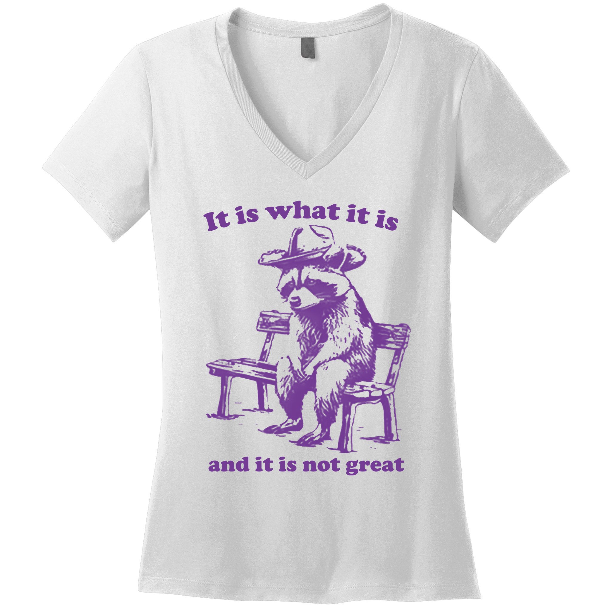 Slippywild It Is What It Is And It Is Not Great Women's V-Neck T-Shirt
