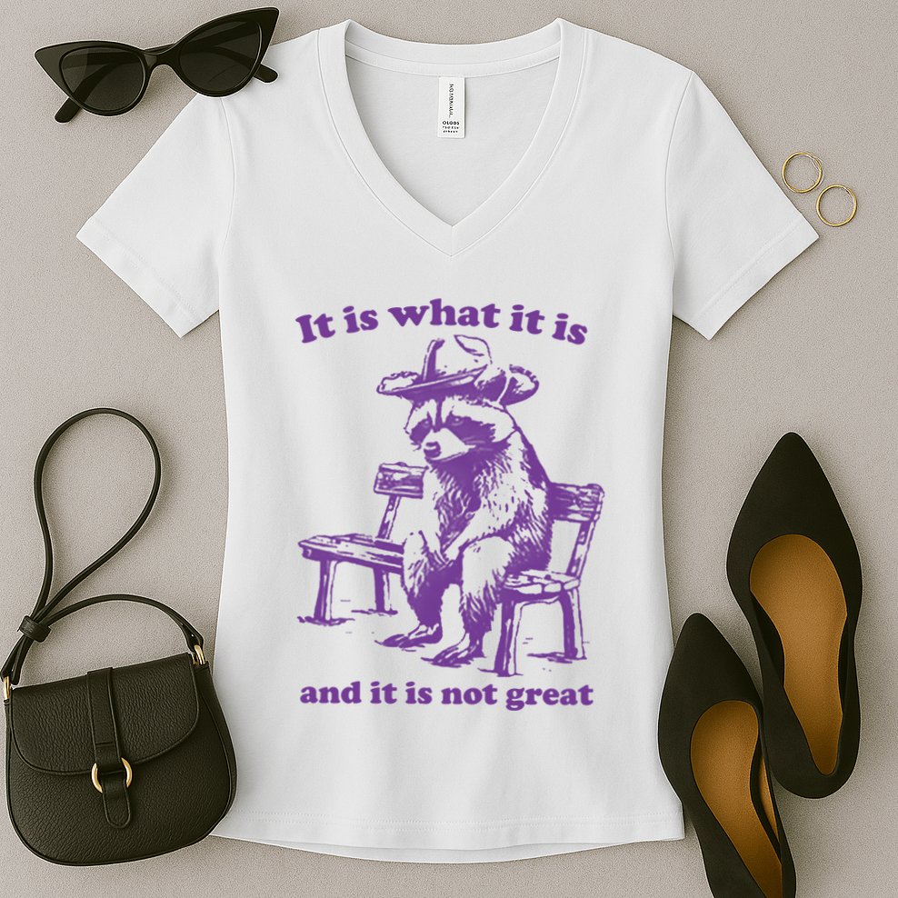 Slippywild It Is What It Is And It Is Not Great Women's V-Neck T-Shirt