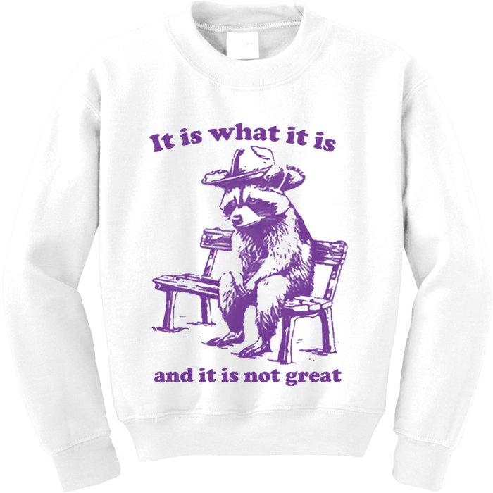 Slippywild It Is What It Is And It Is Not Great Kids Sweatshirt