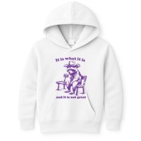 Slippywild It Is What It Is And It Is Not Great Kids Hoodie