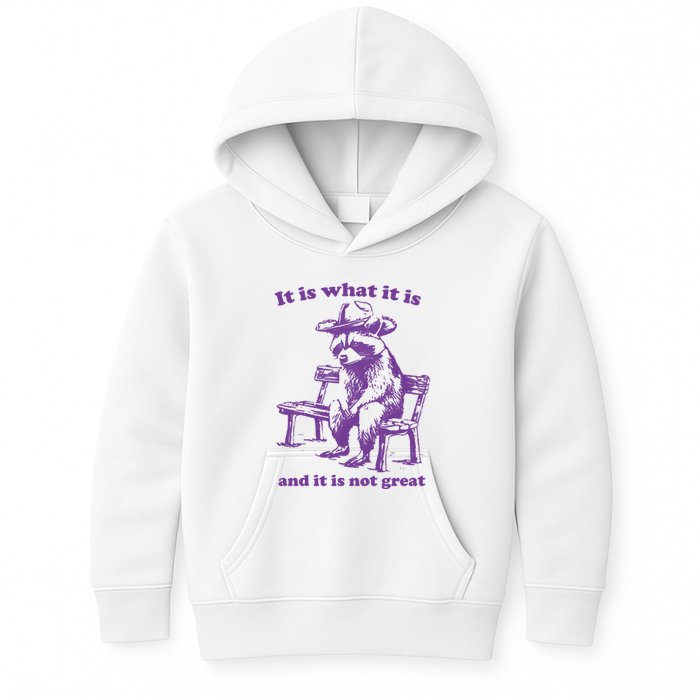 Slippywild It Is What It Is And It Is Not Great Kids Hoodie