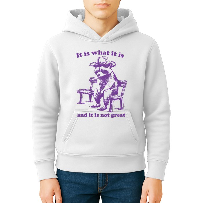 Slippywild It Is What It Is And It Is Not Great Kids Hoodie
