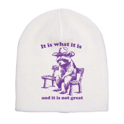 Slippywild It Is What It Is And It Is Not Great Short Acrylic Beanie