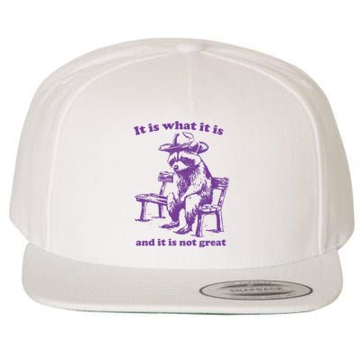 Slippywild It Is What It Is And It Is Not Great Wool Snapback Cap