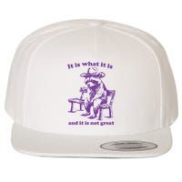 Slippywild It Is What It Is And It Is Not Great Wool Snapback Cap