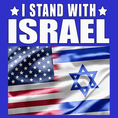 Support Israel I Stand With Israel Us Israel Flag Combined T-Shirt