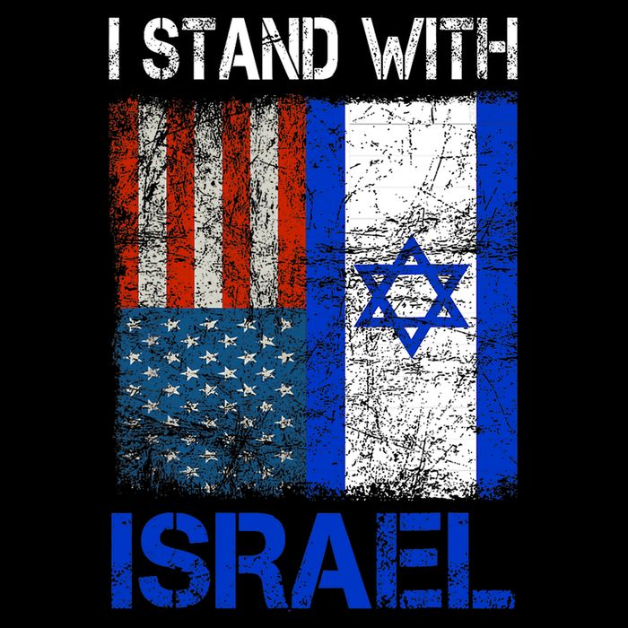 Support Israel I Stand With Israel Usa American Israeli Flag Sustainable Bucket Hat