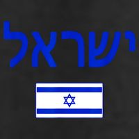 Support Israel I Stand With Israel Israel Flag 11oz C Handle Ceramic Mug