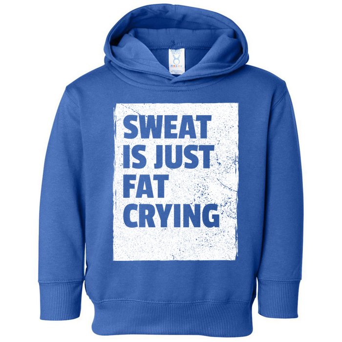 Sweat Is Just Fat Crying Meaningful Gift Sarcastic Gym Funny Workout Funny Gift Toddler Hoodie