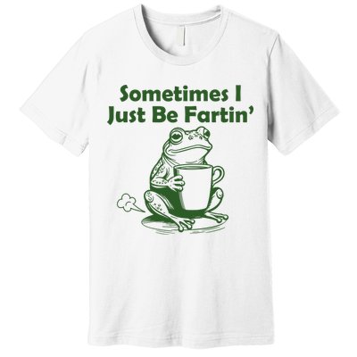 Sometimes I Just Be Fartin Funny Frog Premium T-Shirt