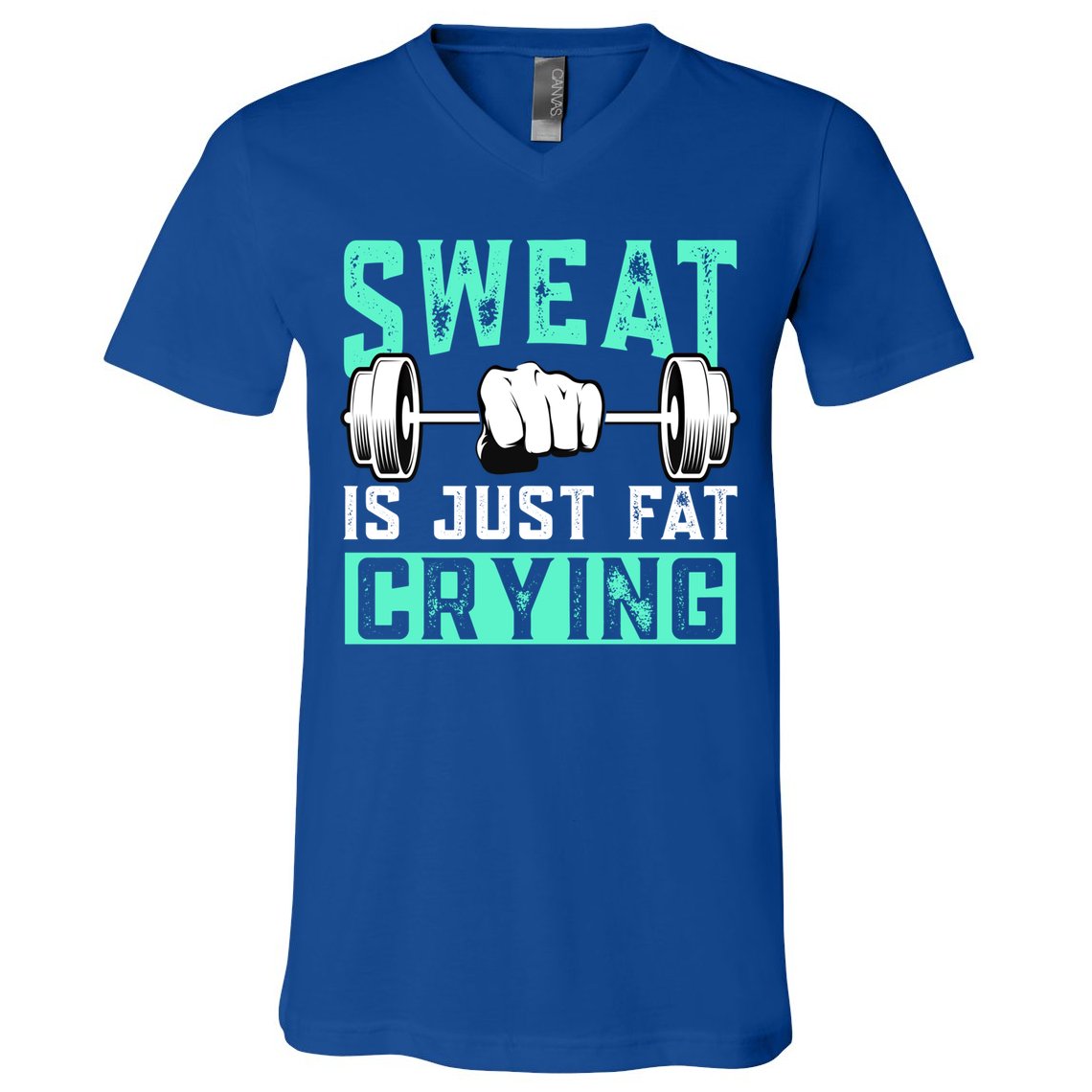 Sweat Is Just Fat Crying Muscle Trainer Bodybuilding Fitness Gift V-Neck T-Shirt
