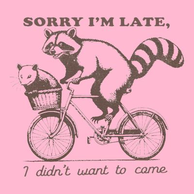 Sorry IM Late I DidnT Want To Come Racoon T-Shirt