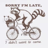 Sorry IM Late I DidnT Want To Come Racoon Wool Snapback Cap