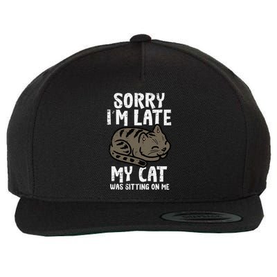 Sorry Im Late Cat Sitting On Me Funny Pet Wool Snapback Cap