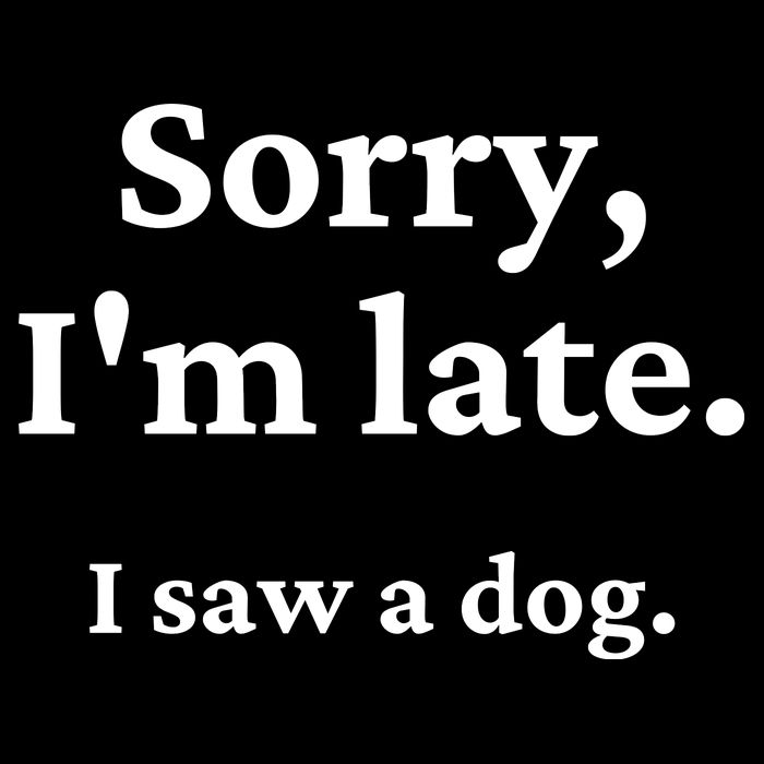 Sorry I'm Late I Saw A Dog Zip Tote Bag