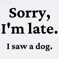 Sorry I'm Late I Saw A Dog Cooling Performance Crew T-Shirt