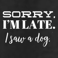 Sorry I'm Late I Saw A Dog Meaningful Gift 11oz C Handle Ceramic Mug